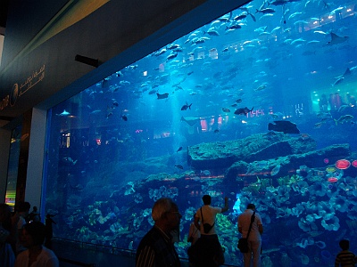 60 Aquarium v Dubai Mall